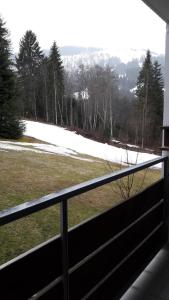 Φυσικό τοπίο κοντά σε αυτό το διαμέρισμα