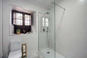 a bathroom with a toilet and a glass shower at APARTAMENTO " A "MUSEO CASCO HISTORICO in Ronda +27 photos