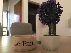 una planta en una olla en una mesa con las palabras "le pain" en Apartamentos Irigoyen en San Rafael