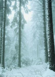 Ferienwohnung Bodehexe 2 om vinteren