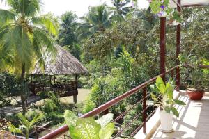 Zahrada ubytování Nguyet Que Homestay & Tours