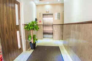 伊爾福德的住宿－伊爾福德塔公寓，走廊上设有盆栽和电梯