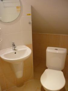 a bathroom with a white toilet and a sink at Pod Smrcinou in Nová Pec