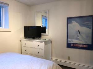 TV a/nebo společenská místnost v ubytování Mountain View Bed & Breakfast