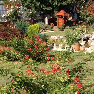 Zahrada ubytování Guest House Rose