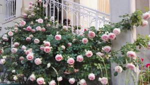 コントレクセビルにあるVilla Hestiaのピンクのバラ束