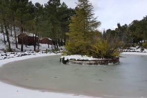 Príroda v okolí horskej chaty