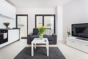 TV a/nebo společenská místnost v ubytování apartament studio solna 1 M19