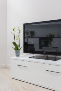 TV a/nebo společenská místnost v ubytování apartament studio solna 1 M19