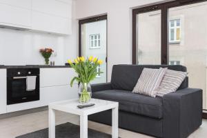 Kuchyň nebo kuchyňský kout v ubytování apartament studio solna 1 M19