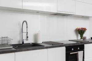 Kuchyň nebo kuchyňský kout v ubytování apartament studio solna 1 M19