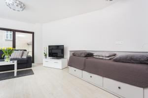 TV a/nebo společenská místnost v ubytování apartament studio solna 1 M19