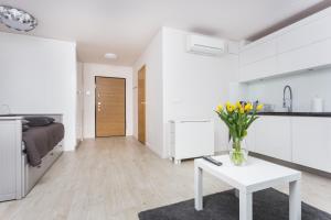 Kuchyň nebo kuchyňský kout v ubytování apartament studio solna 1 M19