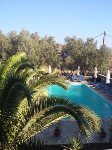 Bazén v ubytování Tinos apartments Zalonis nebo v jeho okolí + 28 fotografií