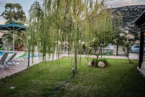 a weeping willow tree in a yard next to a swimming pool at Dimitris Villa Hotel in Matala