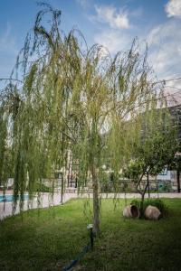 a weeping willow tree in a park with two rocks at Dimitris Villa Hotel in Matala
