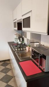 kuchnia ze zlewem i kuchenką górny piekarnik w obiekcie Apartament Angelo w mieście Sosnowiec