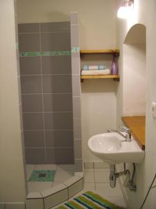 y baño con lavabo y ducha. en Apartmány v Chalupe, en Stará Lesná
