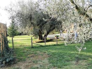 Zahrada ubytování B&B La Casetta di Ben