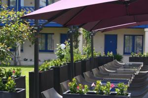 Zahrada ubytování Hotel Capricorne