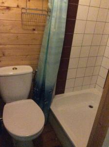 a bathroom with a toilet and a shower and a tub at B&B Zeijen in Zeyen