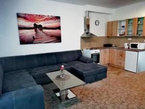 Kuchyň nebo kuchyňský kout v ubytování Apartmány U Stříbrných