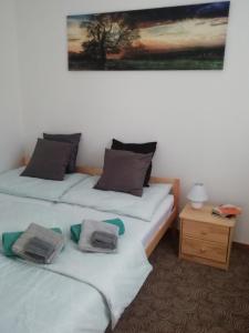 Postel nebo postele na pokoji v ubytování Apartmány U Stříbrných