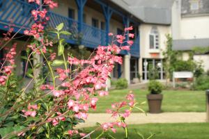 Zahrada ubytování Hotel Capricorne
