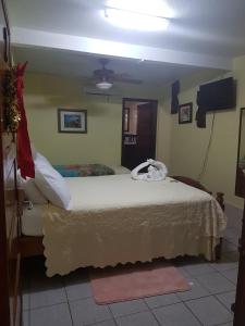 a bedroom with a large white bed in a room at Alan's Paradise Hotel in Placencia Village