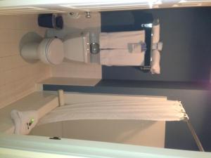 ein Bad mit WC-Papierspender an der Wand in der Unterkunft Fontana Village Inn in Lake Geneva