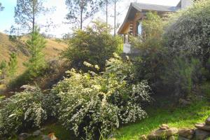 Φωτογραφία από το άλμπουμ του Serranias Del Tabaquillo σε San Miguel de los Rios +84 φωτογραφίες