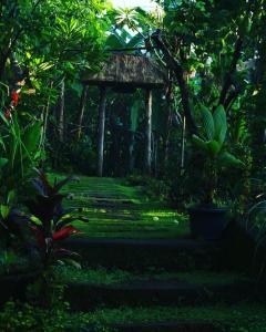 a garden with a gate and a path in the grass at bucu hidden guest house, and meditation center in Payangan