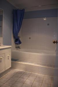 福斯特的住宿－拉尼斯休閒島酒店，带浴缸和蓝色窗帘的浴室