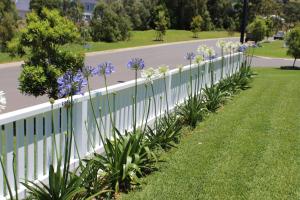 Gallery image of Red Waratah in Berry +10 photos