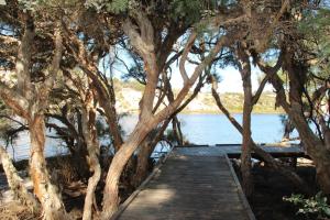 a wooden path leading to a lake with trees at Sand n Sun Beach House in Guilderton