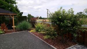 Ein Garten an der Unterkunft Spreewaldhäuser Wiesner
