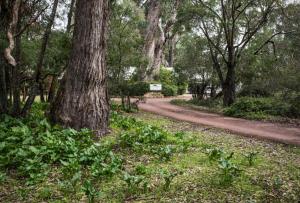 Giardino di Inn The Tuarts Guest Lodge Busselton Accommodation - Adults Only