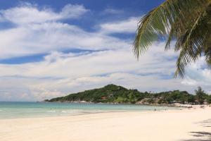 una spiaggia con una palma e un'isola di Aquavana Haad Rin Resort a Haad Rin