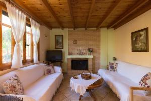 Villa Heavens Knights with private pool في Magoúla: غرفة معيشة مع أريكة ومدفأة