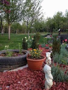 a garden with two flower pots and some plants at Kuća za odmor Marija in Gračac +3 photos
