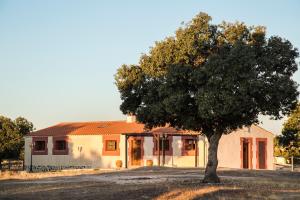 una casa con un árbol delante de ella en Dehesa de Montealto, en Cabañas de Sayago