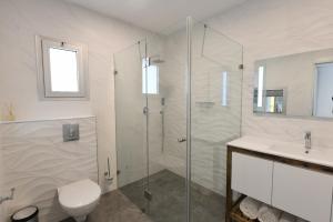 a bathroom with a shower and a toilet and a sink at Suite dream in Eilat