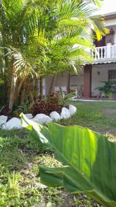 a garden with palm trees and rocks in front of a house at Edelweis in Sainte-Luce