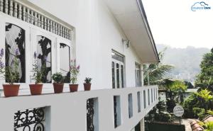 Nespecifikovaný výhled na hory nebo výhled na hory při pohledu z bed and breakfast