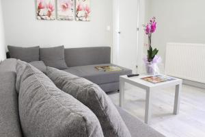 sala de estar con sofá y mesa en Apartamentos Logroño Centro, en Logroño