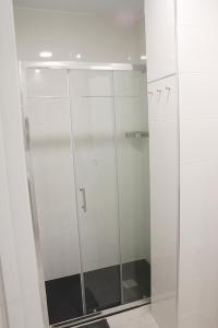 y baño con ducha y puerta de cristal. en Apartamentos Logroño Centro, en Logroño