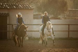 Zdjęcie z galerii obiektu Finca Caballo Blanco w mieście Montuiri