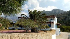 a house with a palm tree in front of a wall at Blue Horizon Studios in Lefkos Karpathou