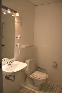y baño con lavabo, aseo y espejo. en Ebeltoft Park B & B en Ebeltoft