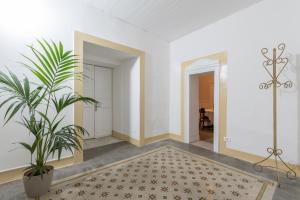 un corridoio con una pianta in vaso e un tappeto di Qasr Home Beautiful apartment in Palermo a Palermo